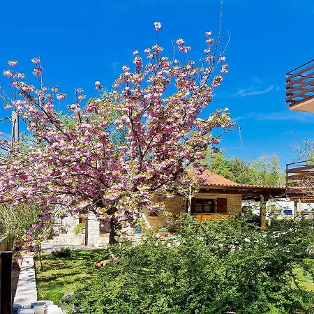 Apartman Majda By Interhome *