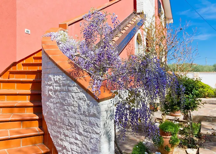 아파트 Majda By Interhome Kmeti